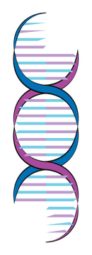 Dna genetics clipart