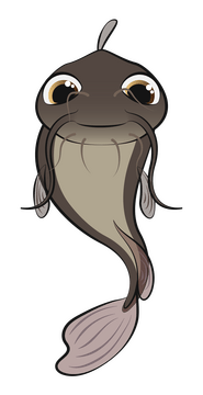 Catfish fish clipart