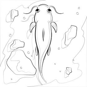 Catfish black and white vector