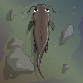 Catfish vector