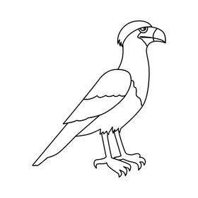 Northern crested caracara bird black and white clipart