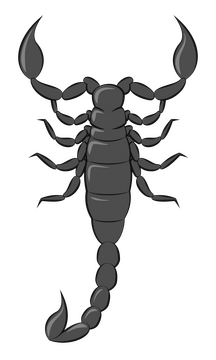 Scorpion clipart