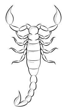 Scorpion drawing black and white clipart