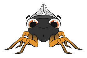 Cicada clipart