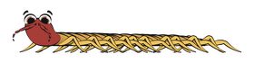 Centipede clipart