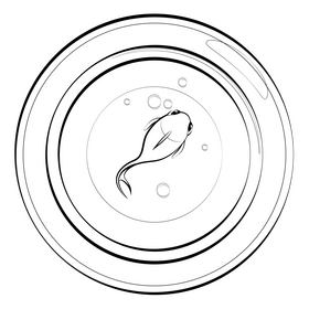 Fish bowl black and white clipart