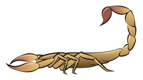 Scorpion drawing clipart