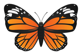 Monarch butterfly clipart