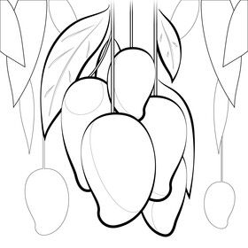 Mango drawing black and white vector