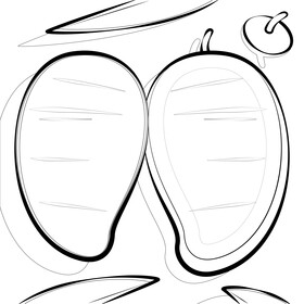 Mango drawing black and white vector