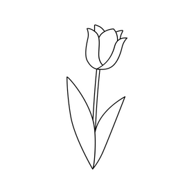 Tulip flower black and white clipart