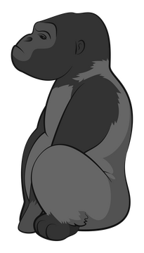 Gorilla drawing clipart