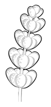 Lavender black and white clipart