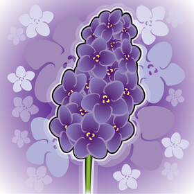 Lavender flower drawing vector