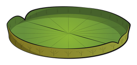Lily pad drawing clipart