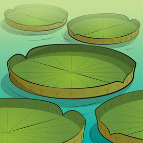 Lily pad drawing vector