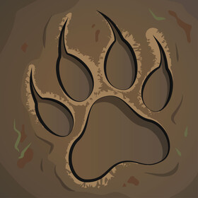 Paw print vector