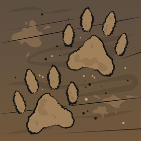 Paw print vector