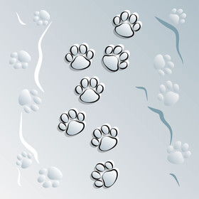 Paw print vector