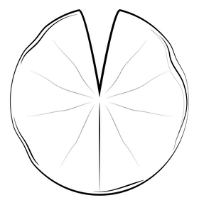 Lily pad drawing black and white clipart