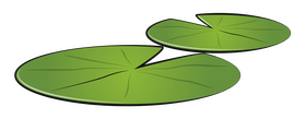 Lily pad clipart