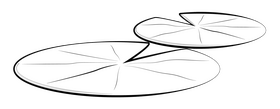 Lily pad drawing black and white clipart