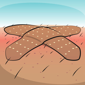 Band aid drawing vector