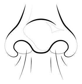 Smell drawing black and white clipart