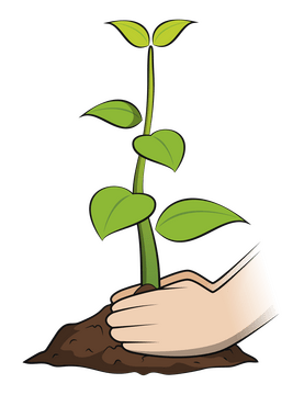 Planting trees clipart