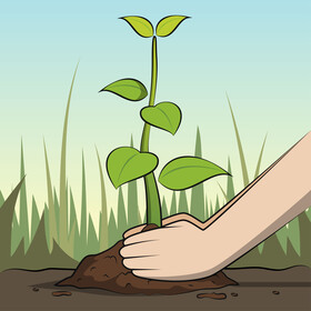 Planting trees vector