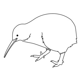 Kiwi bird black and white clipart