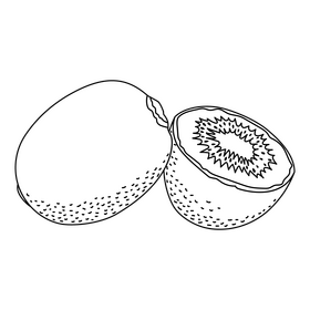 Kiwi fruit black and white clipart