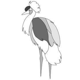 Black crowned crane black and white clipart