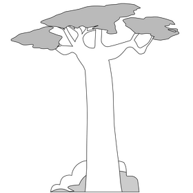 Baobab tree black and white clipart