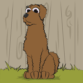 Labradoodle dog vector
