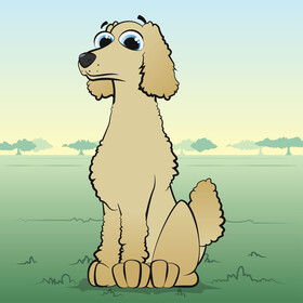 Poodle dog vector