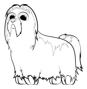 Shih tzu dog drawing black and white clipart