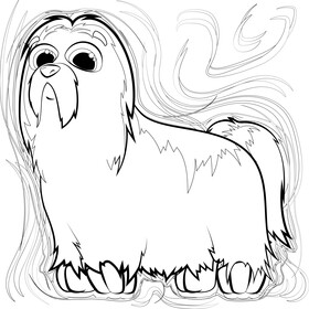 Shih tzu dog drawing black and white vector