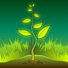 Plants drawing vector