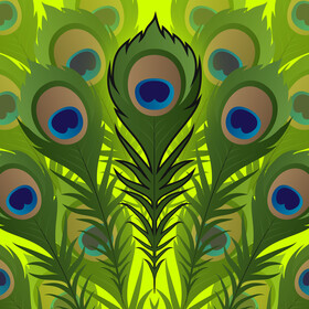 Peacock feather vector