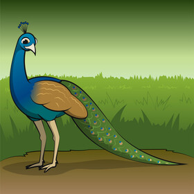 Peacock vector