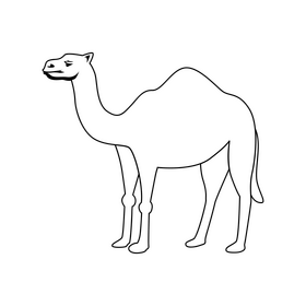 Camel black and white clipart