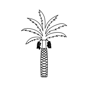 Date palm tree black and white clipart