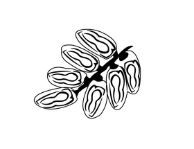 Dates fruit black and white clipart