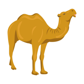 Camel cartoon animal clipart