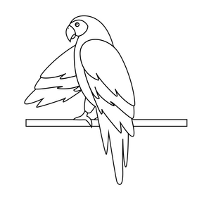 Parrot black and white clipart