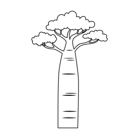 Baobab tree black and white clipart