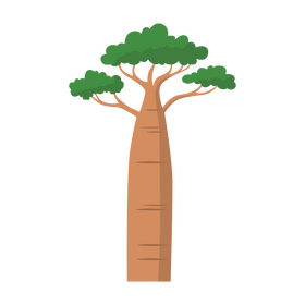 Baobab tree clipart