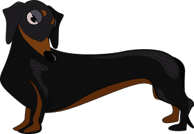 Dachshund clipart