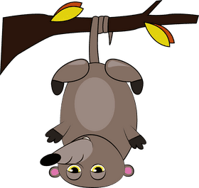 Cute Possum clipart